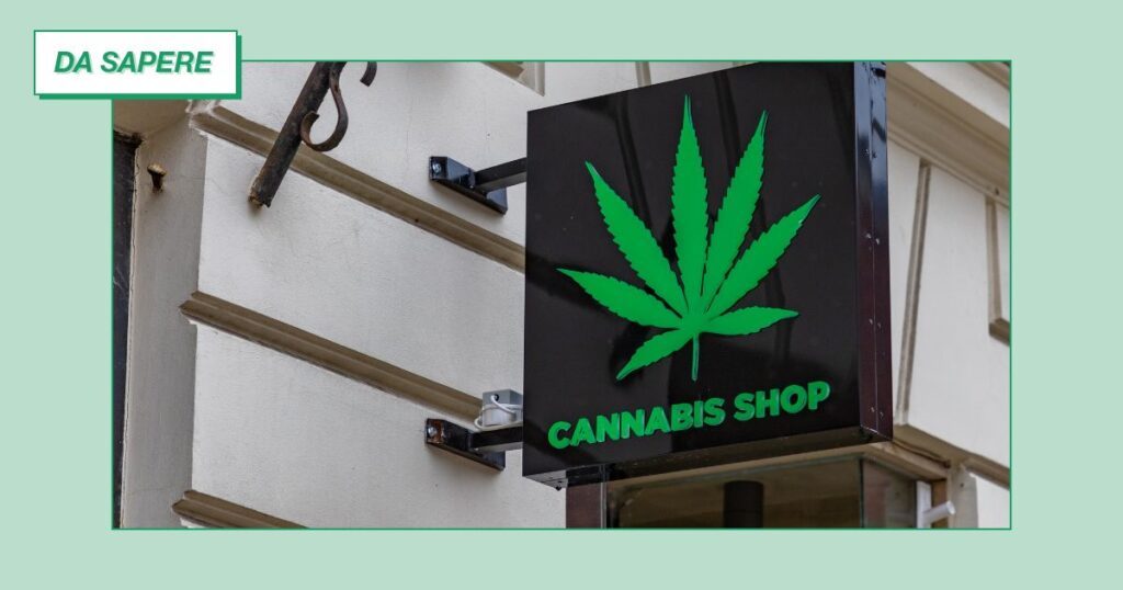 divieto commercio cannabis light