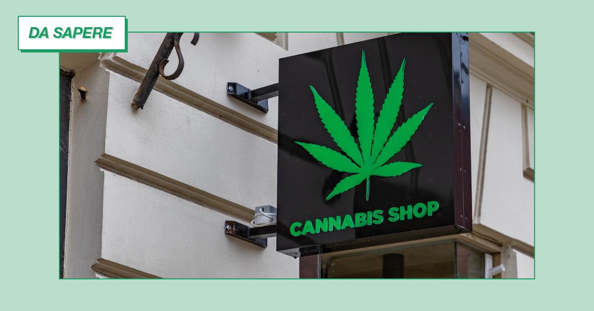 divieto commercio cannabis light